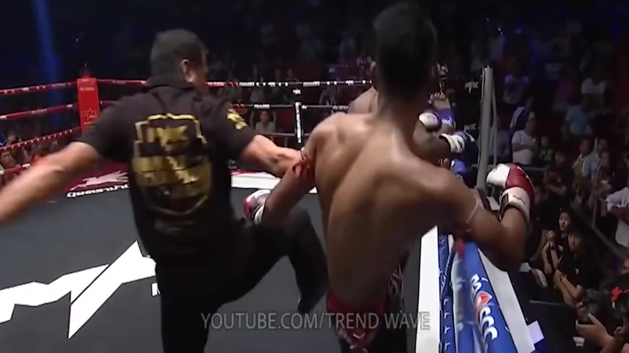 🥋 20 Moments When Referees Lose Their Cool 🥋