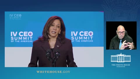 0315. Vice President Harris Delivers Remarks at the CEO Summit