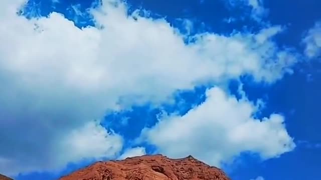 Blue Sky beautiful cattle and sheep