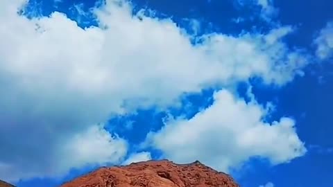 Blue Sky beautiful cattle and sheep