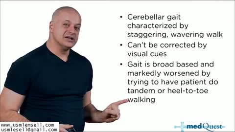 Neurology - Section 1 - MedQuest