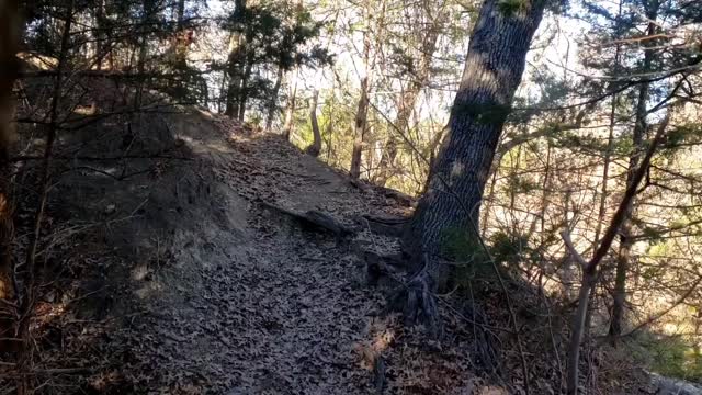 The fool's path : chasing happiness