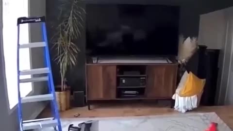 Kids are born Mean