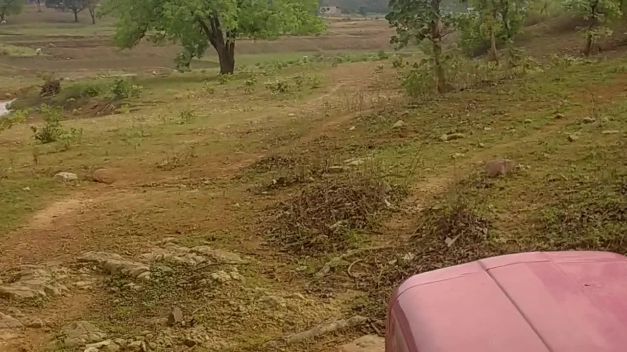 My daily work