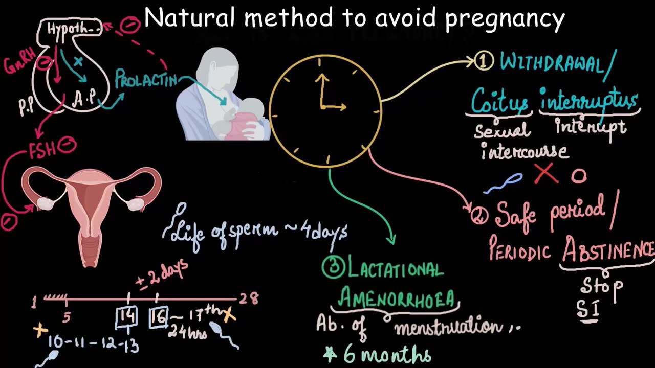 Natural methods of contraception | Reproductive health | Biology |