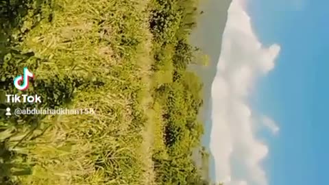 Beautifull view of mutan