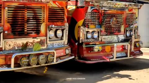 Bus Sri lanka