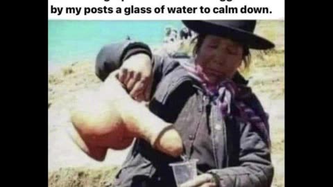Random Memes 347