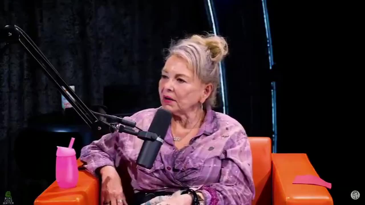 Roseanne Talks About Hollywood