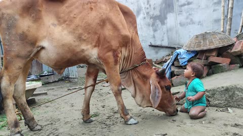 Little baby with cow