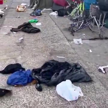 ♦️ America ♦️ Current State of Affairs