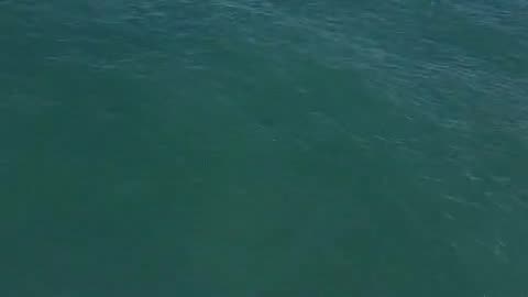 Beautiful Ocean