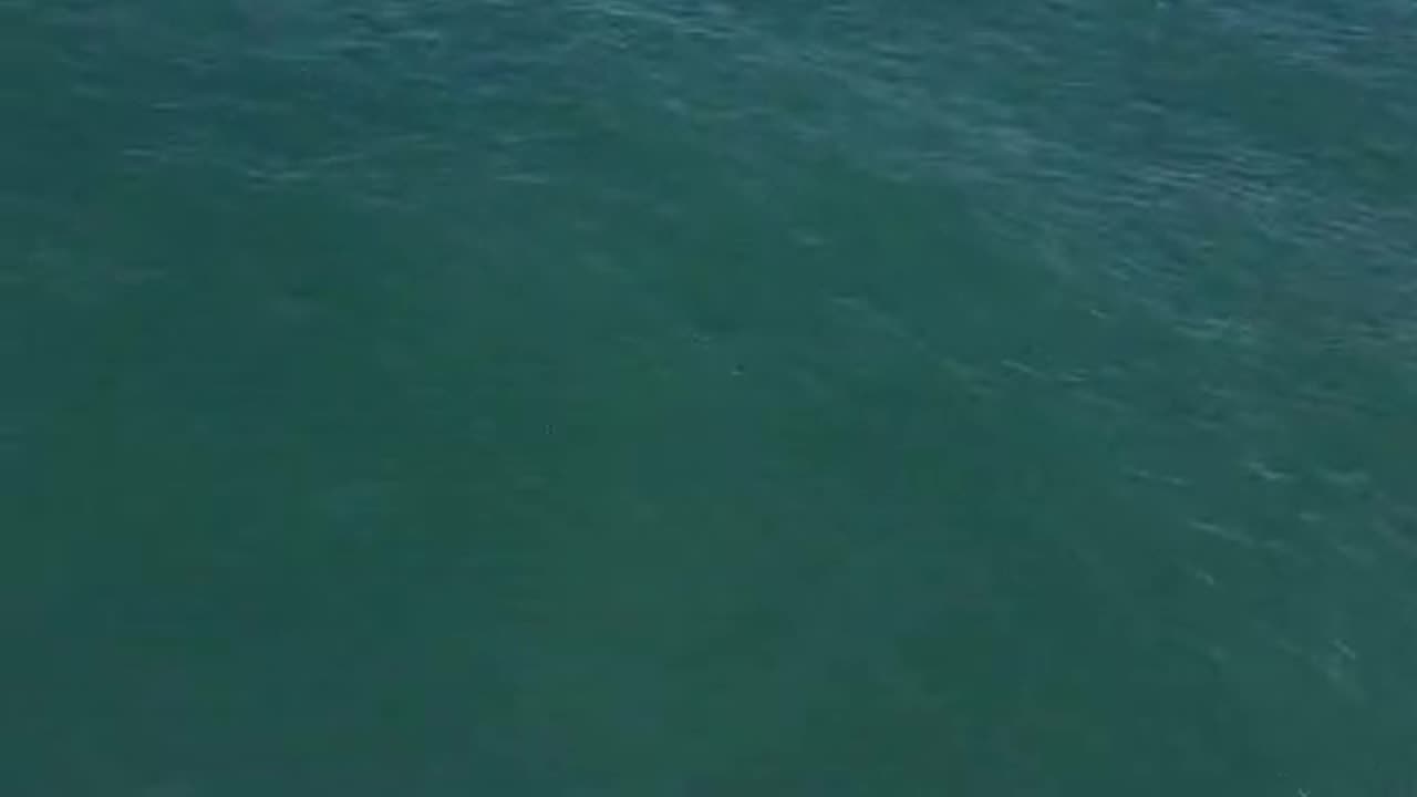 Beautiful Ocean