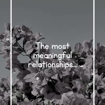 The most meaningful relationships...