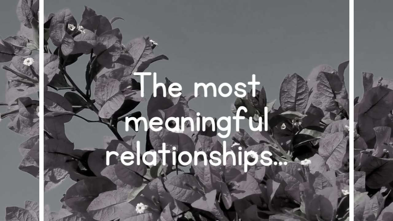 The most meaningful relationships...