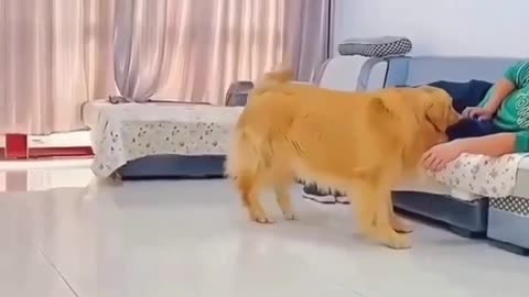 Let me do it