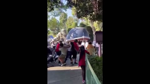 Disneyland Park Brawl Of 2 Families