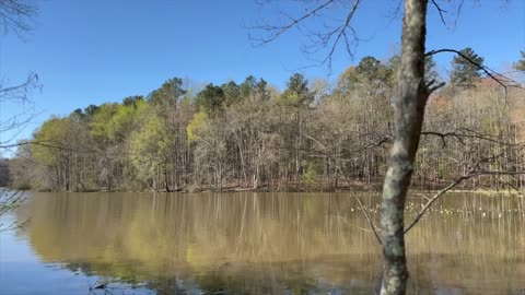 I Hope it Ends with a Monster