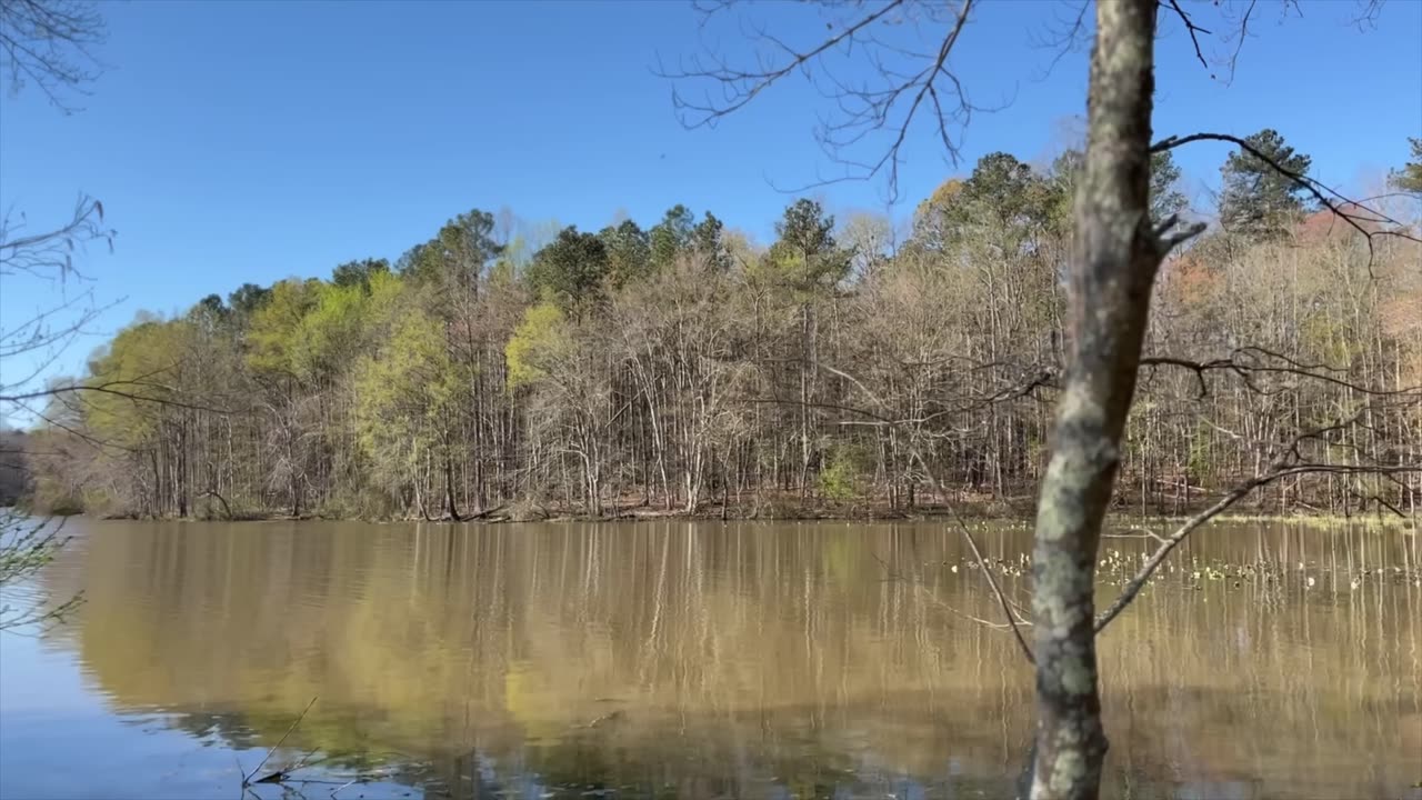 I Hope it Ends with a Monster