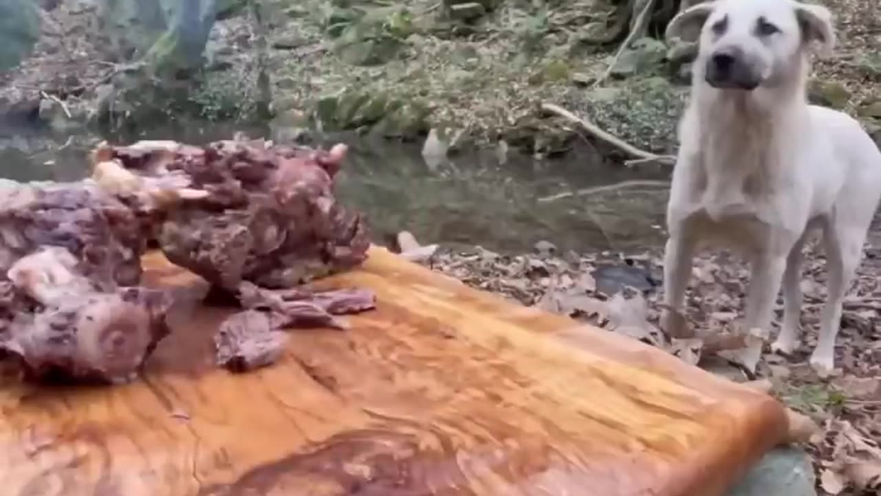 🥩 _ healing beef poc in natural stone pot