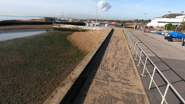 Pretend drone shot of a mini harbour. Swans and ducks. Using 1metre with the GoPro