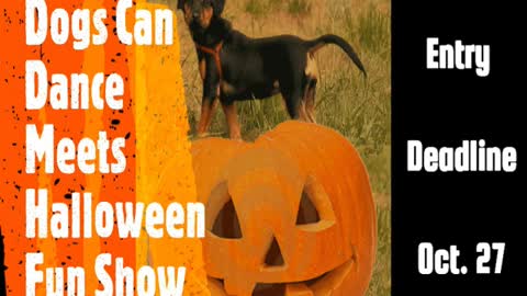 Dogs Can Dance Meets Halloween Fun Show .