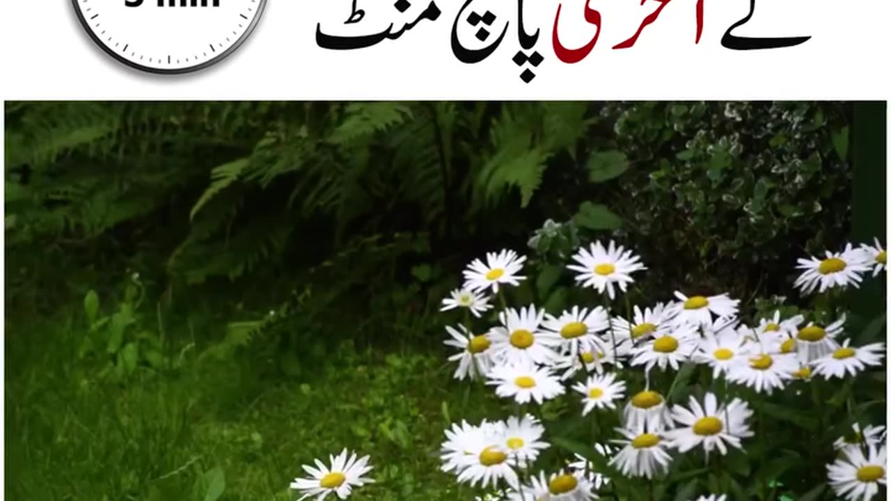 Your Day Last 5 Minutes By Soban Attari 💖