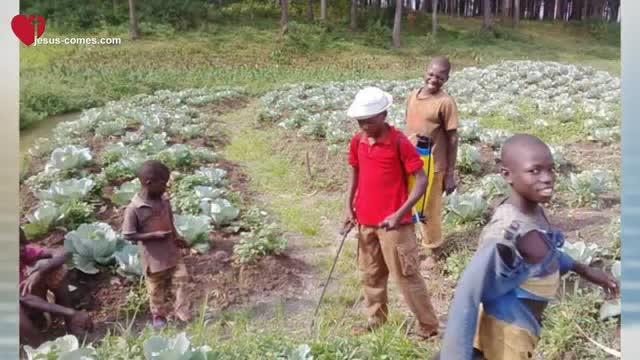 Lieben Dank für eure Hilfe ❤️ Thank you so much for your Help