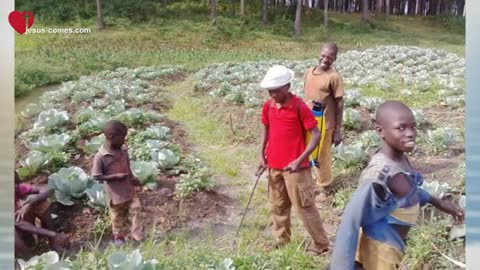 Lieben Dank für eure Hilfe ❤️ Thank you so much for your Help