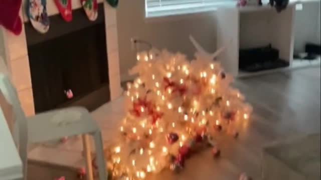 Ooops...it's not xmas yet