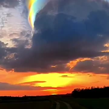 A spectacular Iridescent pileus cloud