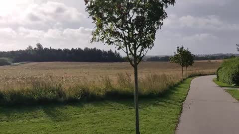 Walk in nature at Lystrup near Aarhus in Denmark