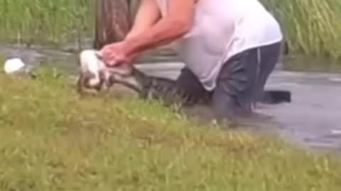save crocodile he is good person