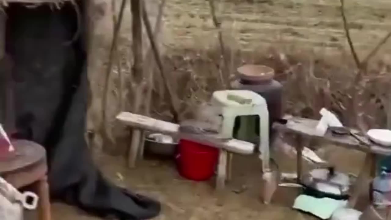 🤣🤣🤣🤣