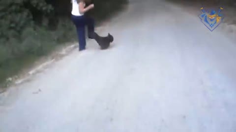 Watch How to Attack Animal on Human and 99% Try Hard not to Laugh