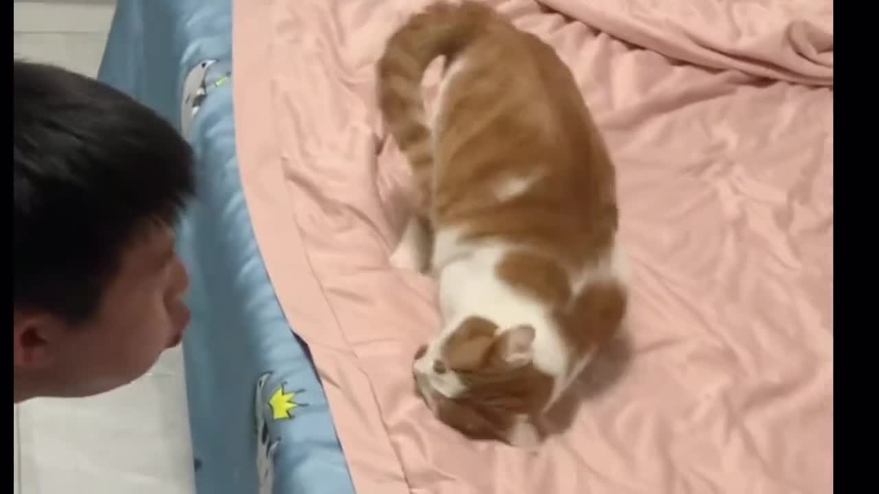 As soon as the morning wake up, there is a take a nap.