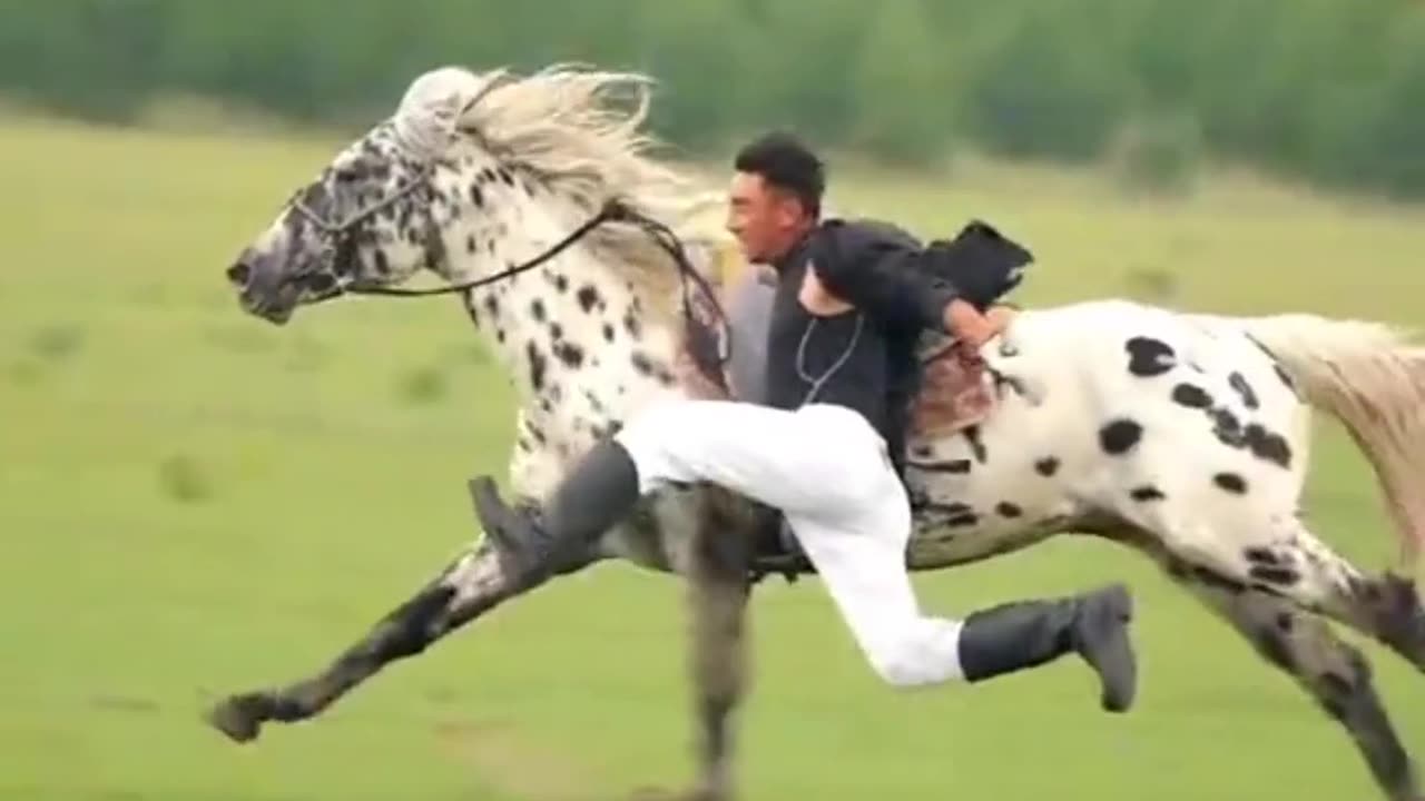 Unbelievable Horse Viral Videos