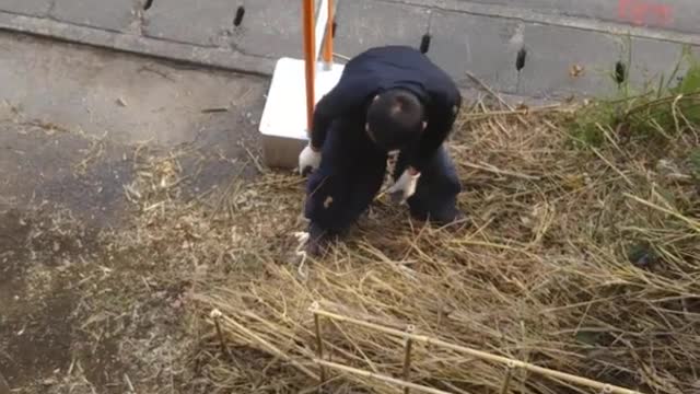 (話題のおもしろ動画) 令和の元祖ドッキリ‼️ Japanese Joke