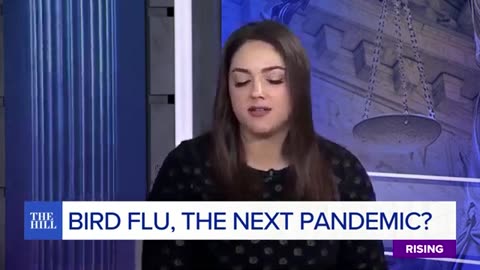 BIRD FLU: California Declares State Of EMERGENCY To Prevent New Public Health CRISIS