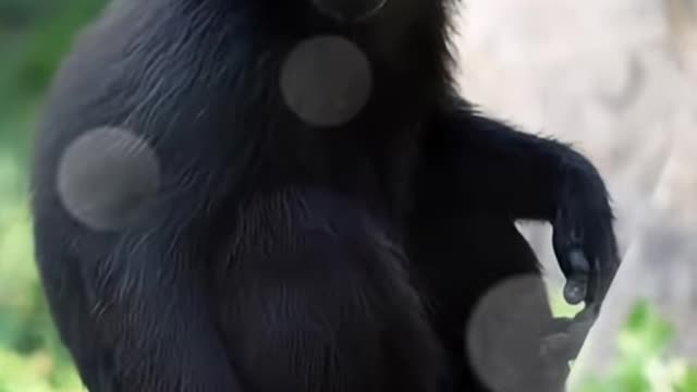 Comedy video scenes 😂😂😛😛