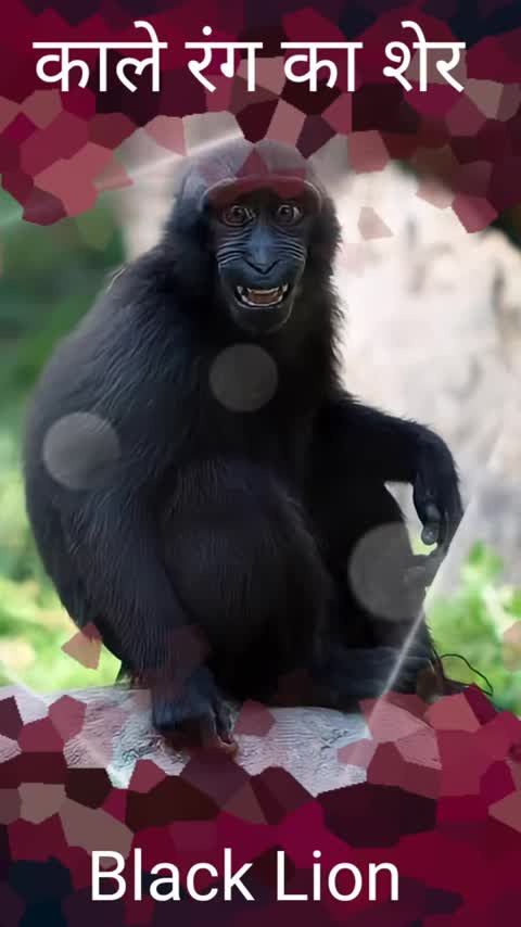 Comedy video scenes 😂😂😛😛