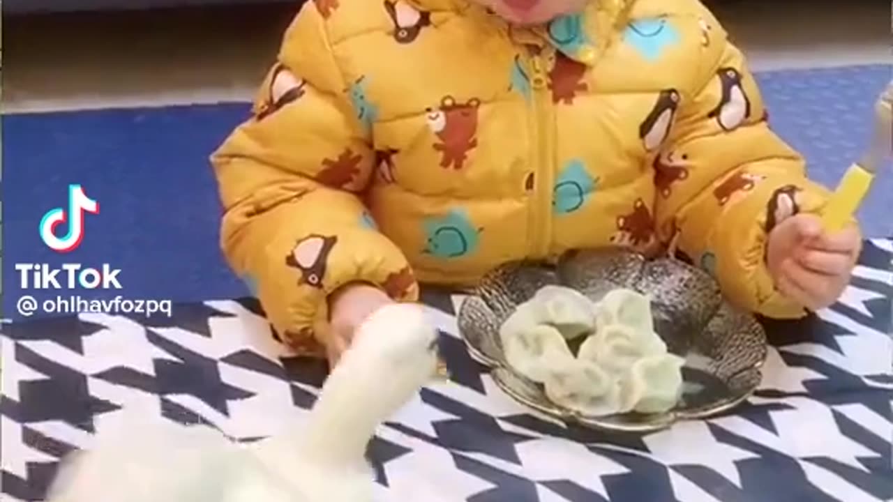 Funny video