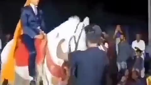 funny video