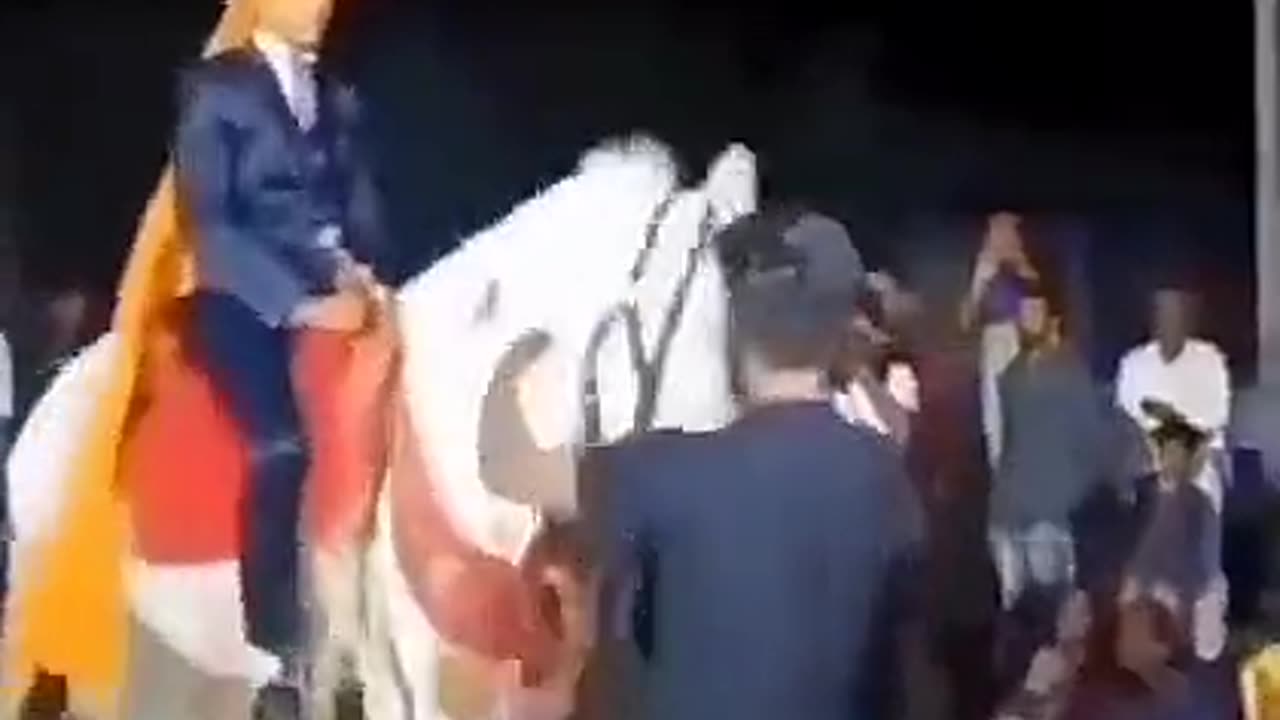 funny video