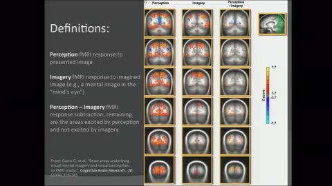 Mary Lou Jepsen on imaging the mind's eye 2012