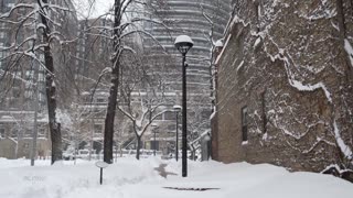 Snow life in Toronto, Ontario, Canada