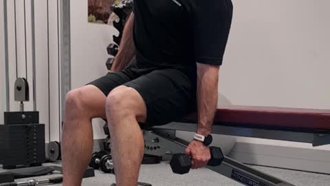 Seated Side Bends