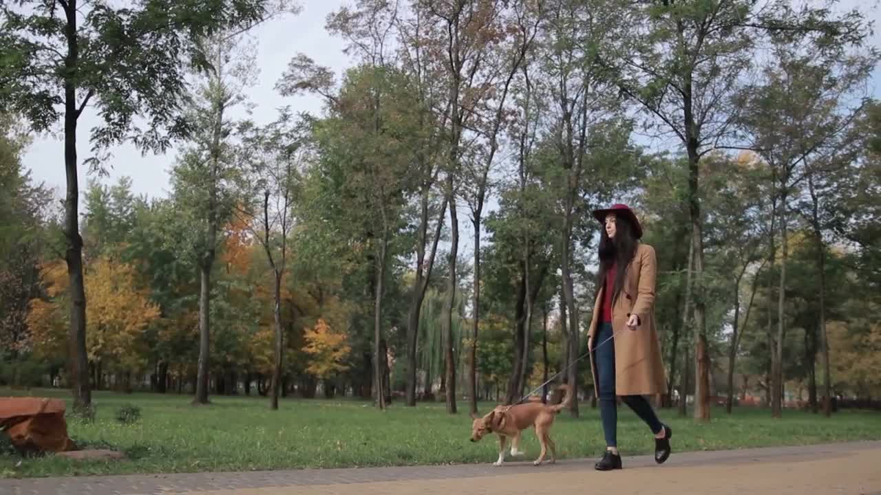 Walking the dog in the park