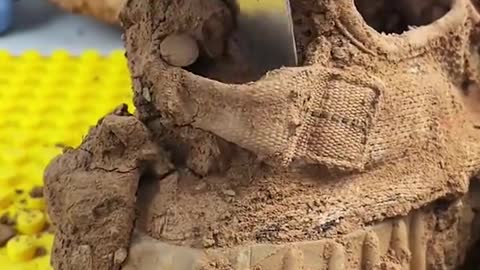 Did you wash your shoes today ?