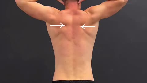 🔥A set of exercise for back